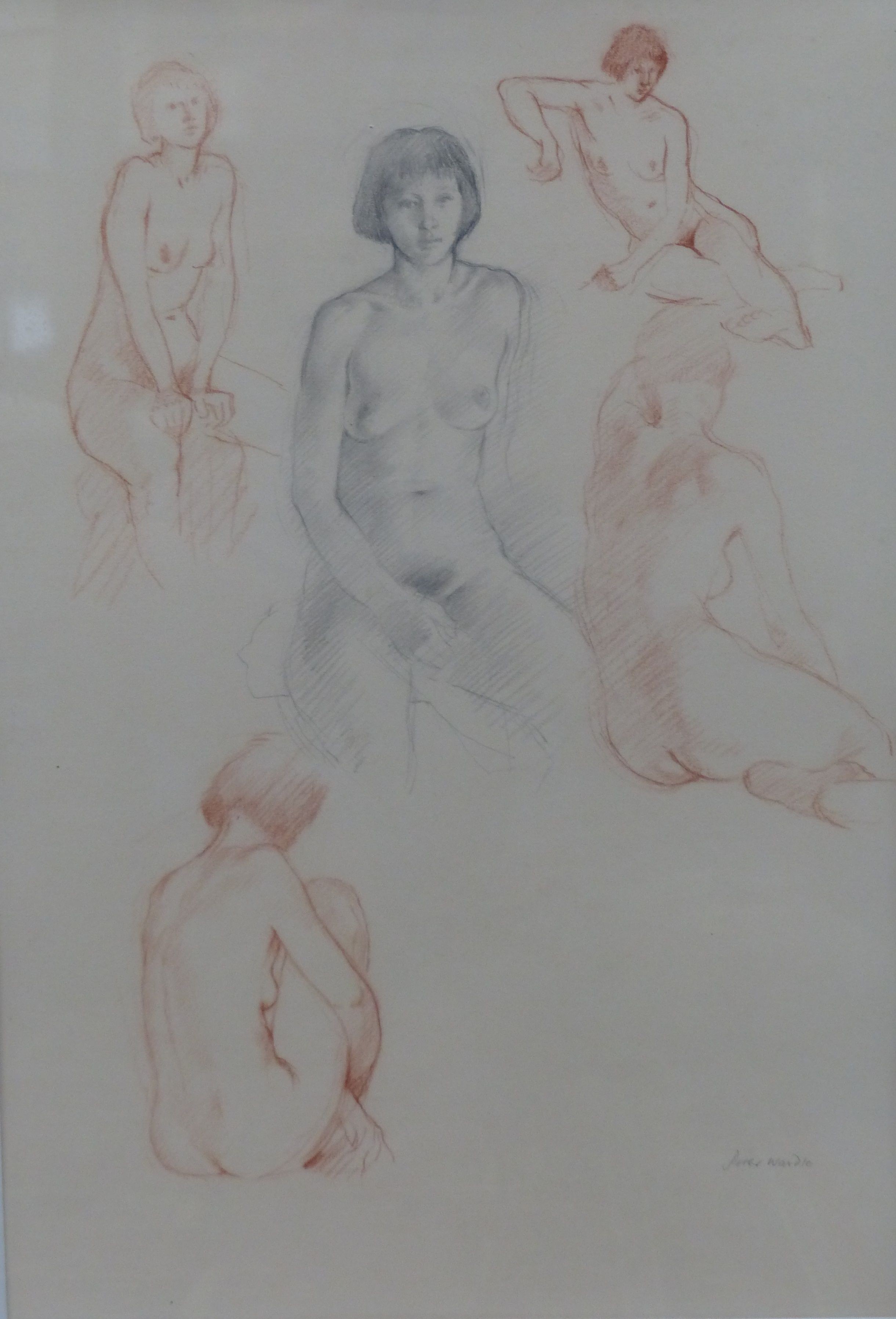 Peter Wardle, pencil and sepia chalk, Female nude studies, signed, 46 x 31cm
